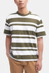 Camiseta Barbour Friars Stripe (Mid Olive) | Camisetas