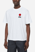 Camiseta Edwin Sol (Blanco) | Camisetas