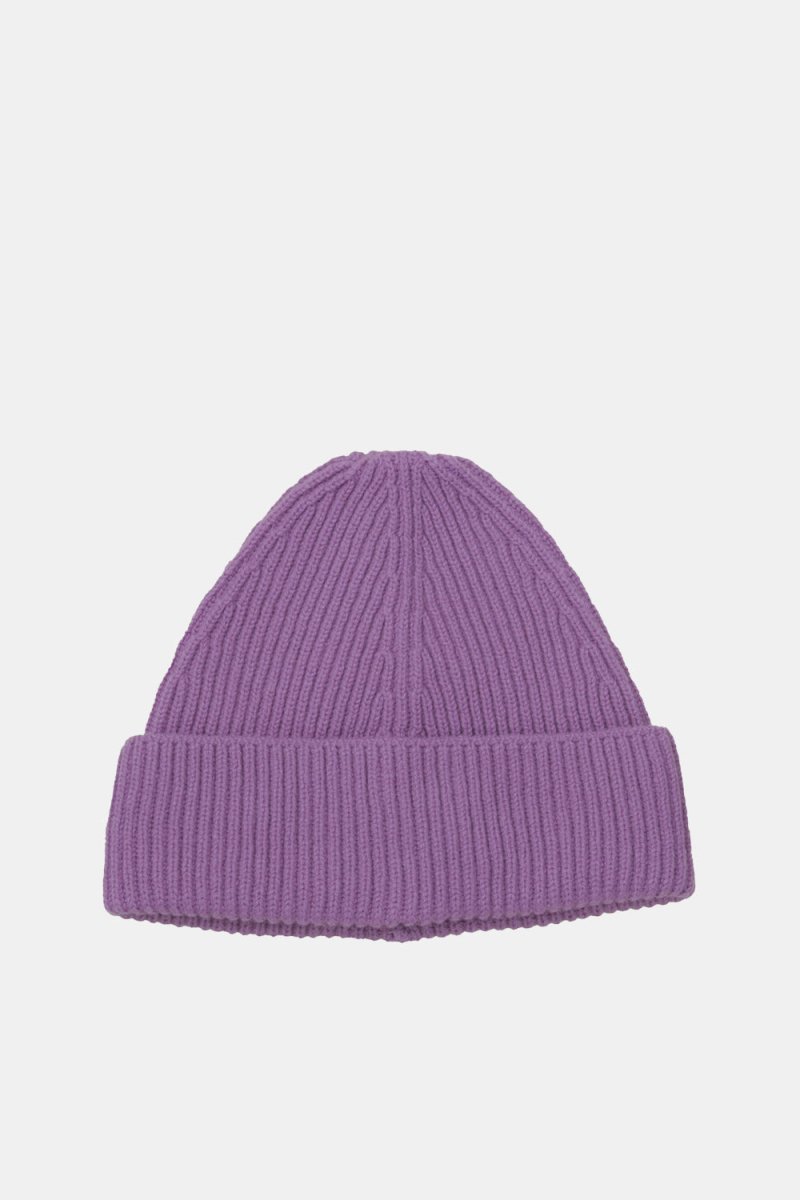 Half Dozen Pure Cashmere Fisherman Beanie (Purple) | Hats